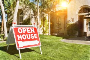 Property Search and Selection
